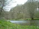 la_diege