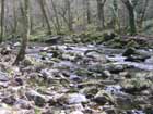 la_vezere