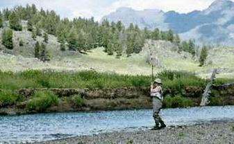 Dominique avec une cutthroat pêche à la mouche