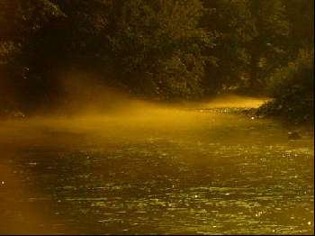 Pré coup du soir sur la Kupica pêche à la mouche
