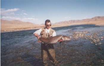 Un taimen de Mongolie
