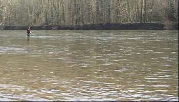 Le biotope de la march brown