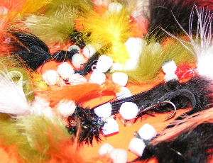 De toutes les couleurs!!!
