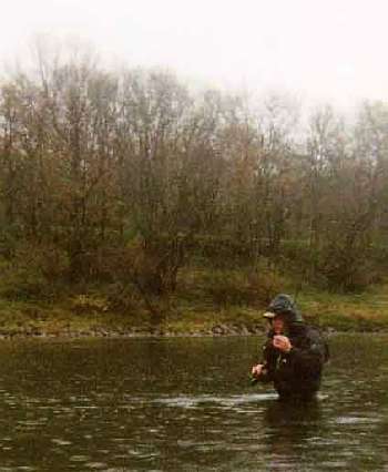 Novembre, la pluie est fra�che mais la r�compense est au bout de la ligne !