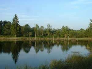 Un lac � black typique
