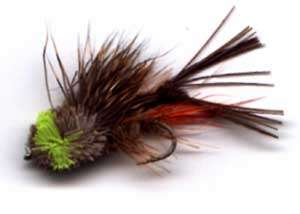 Sauterelle en cervid� : un mod�le � essayer