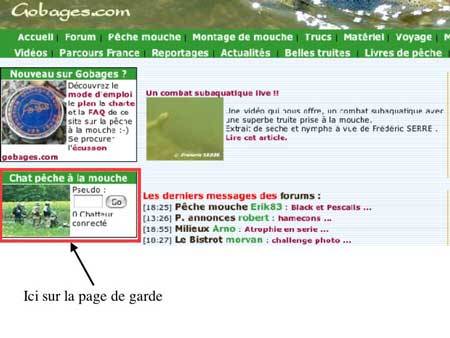 acces chat pêche à la mouche