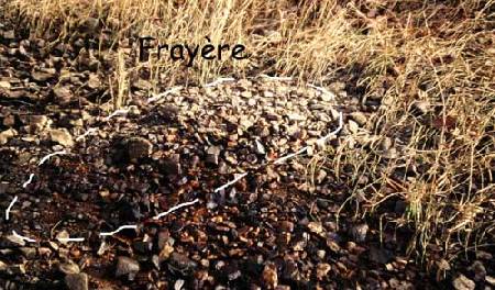 Il manque vraiment beaucoup deau sur cette frayère. pêche à la mouche