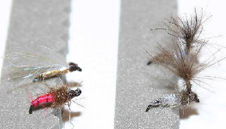 pêche à la mouche