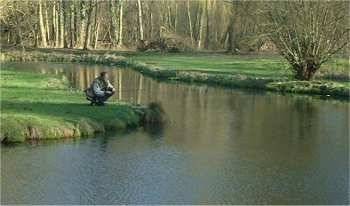 Eau claire et forte luminosité : se faire discret n pêche à la mouche