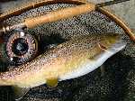 p�che � la mouche