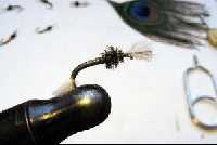 p�che � la mouche