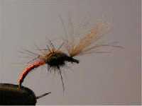 p�che � la mouche