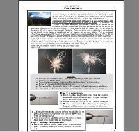 p�che � la mouche