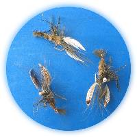 p�che � la mouche