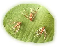 p�che � la mouche