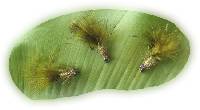 p�che � la mouche