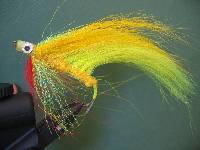 p�che � la mouche