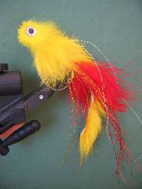p�che � la mouche