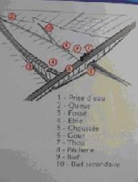 p�che � la mouche