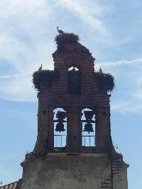 p�che � la mouche