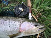 p�che � la mouche