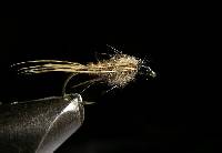 pêche à la mouche