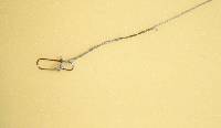 p�che � la mouche