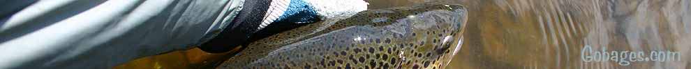 peche a la mouche