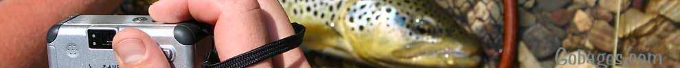 peche a la mouche