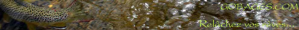 peche a la mouche
