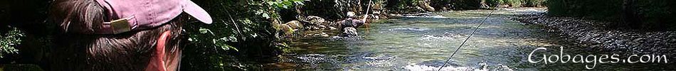 peche a la mouche