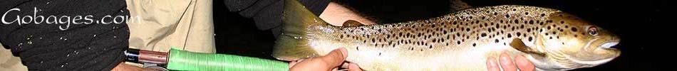 peche a la mouche