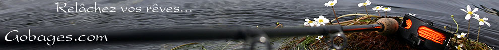peche a la mouche