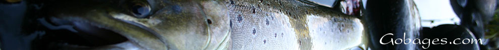 peche a la mouche