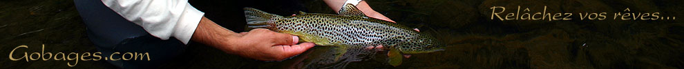 peche a la mouche