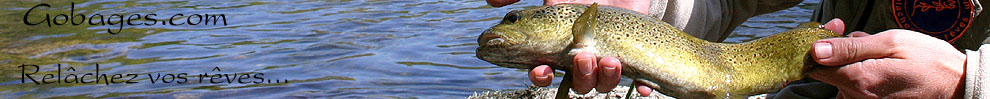 peche a la mouche