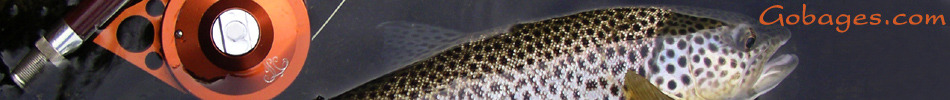 peche a la mouche
