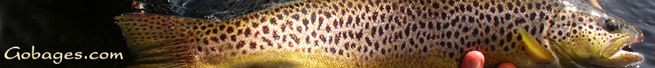 peche a la mouche