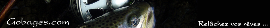 peche a la mouche