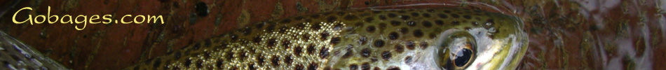 peche a la mouche