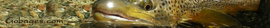 peche a la mouche