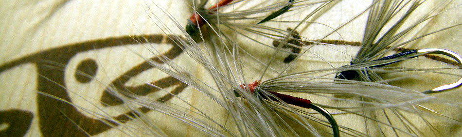 peche a la mouche