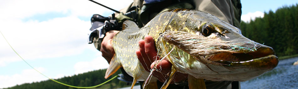 peche a la mouche
