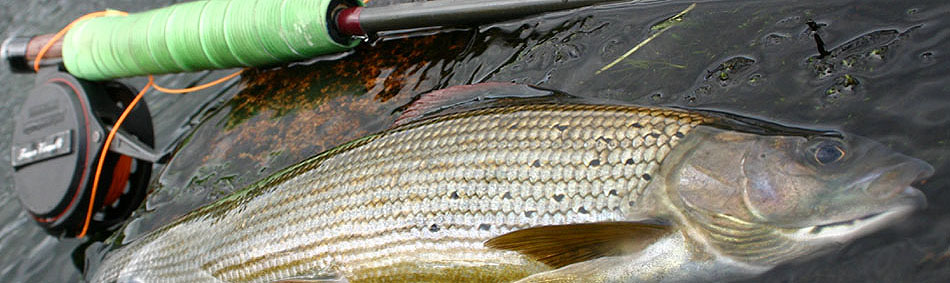 peche a la mouche