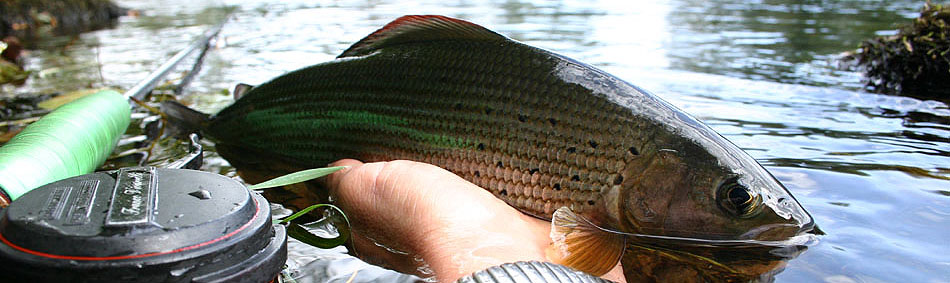 peche a la mouche