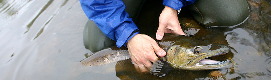 peche a la mouche
