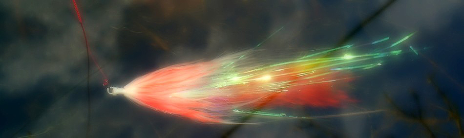 peche a la mouche