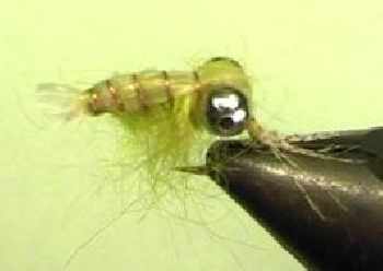 Crustabac