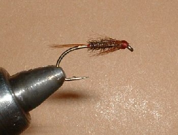 Diawl Bach (skinny)